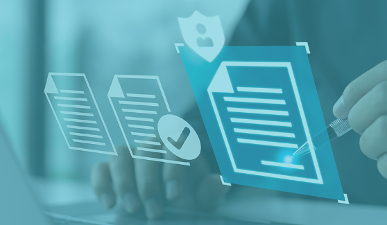 sponsor license management